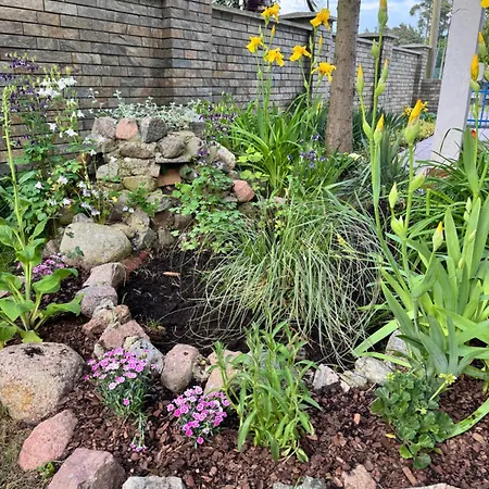 Πανσιόν Lemon Pobierowo