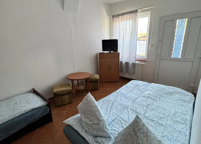 Lemon 포비에로보