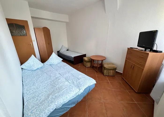 Lemon 포비에로보