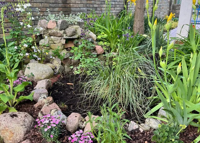 게스트하우스 Lemon 포비에로보