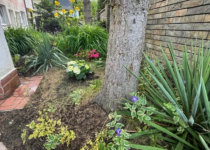 Lemon 3* ポビエロボ