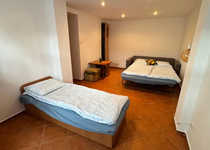 Lemon 게스트하우스 3*